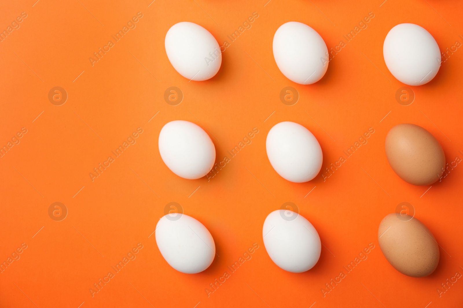 Photo of Raw chicken eggs on color background, top view