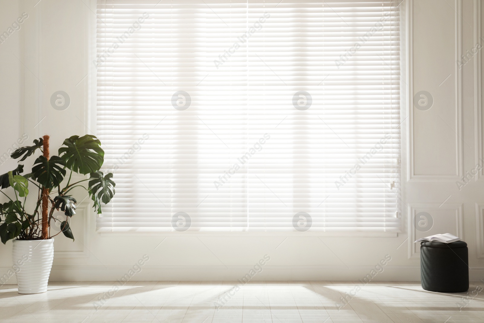 Photo of Monstera plant and pouf near large window with blinds in spacious room. Interior design