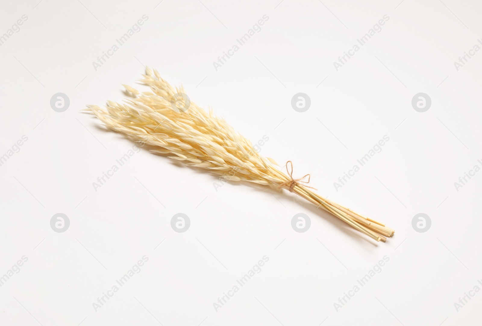 Photo of Bunch of beautiful dried flowers on white background