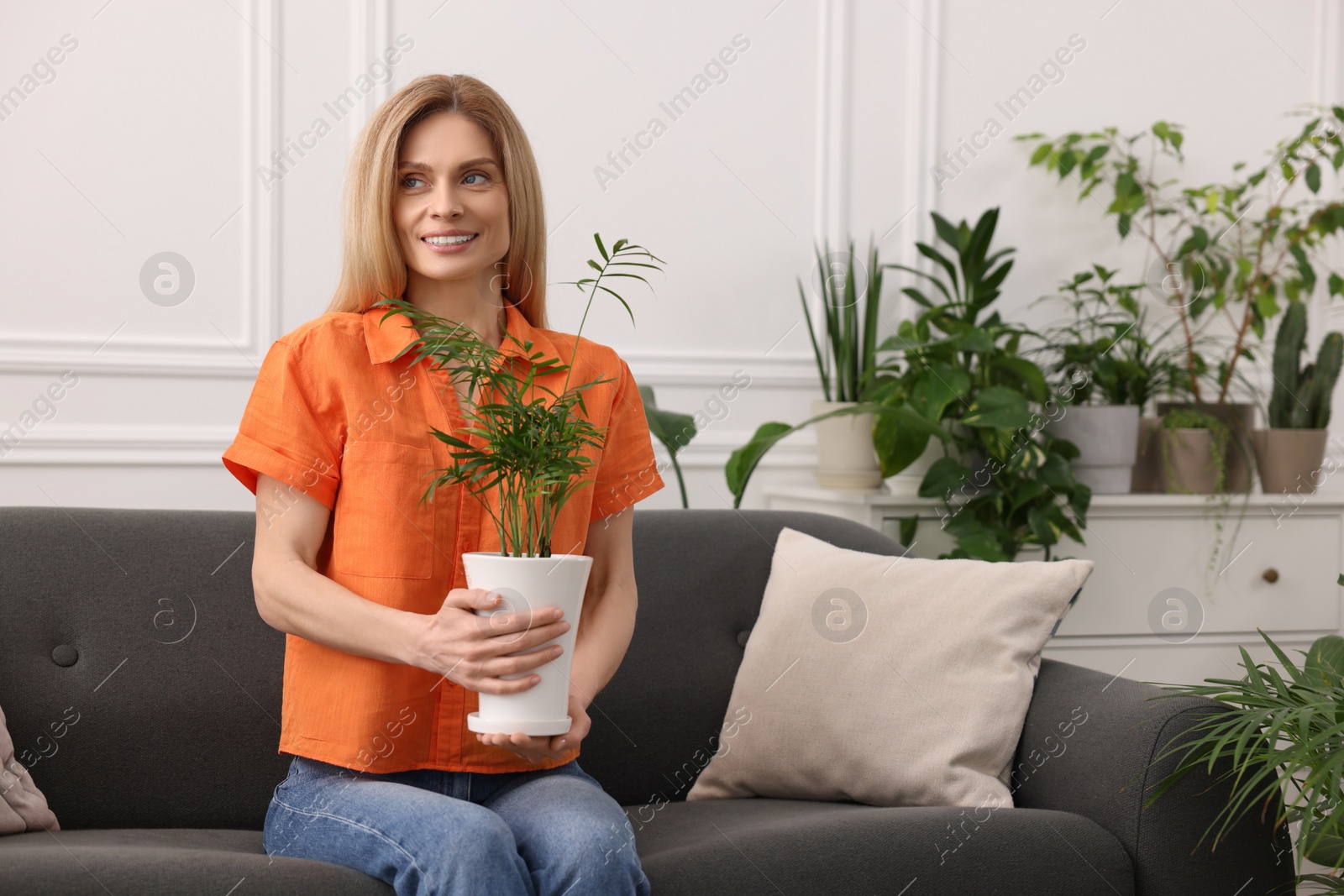 Photo of Woman holding pot with beautiful plant on sofa at home