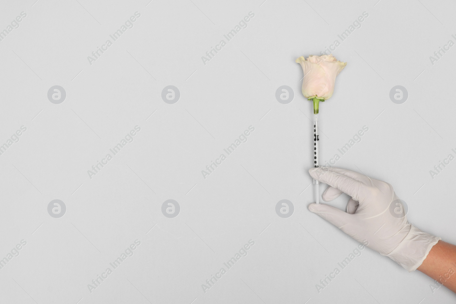 Photo of Doctor making injection to rose on light grey background, top view. Space for text