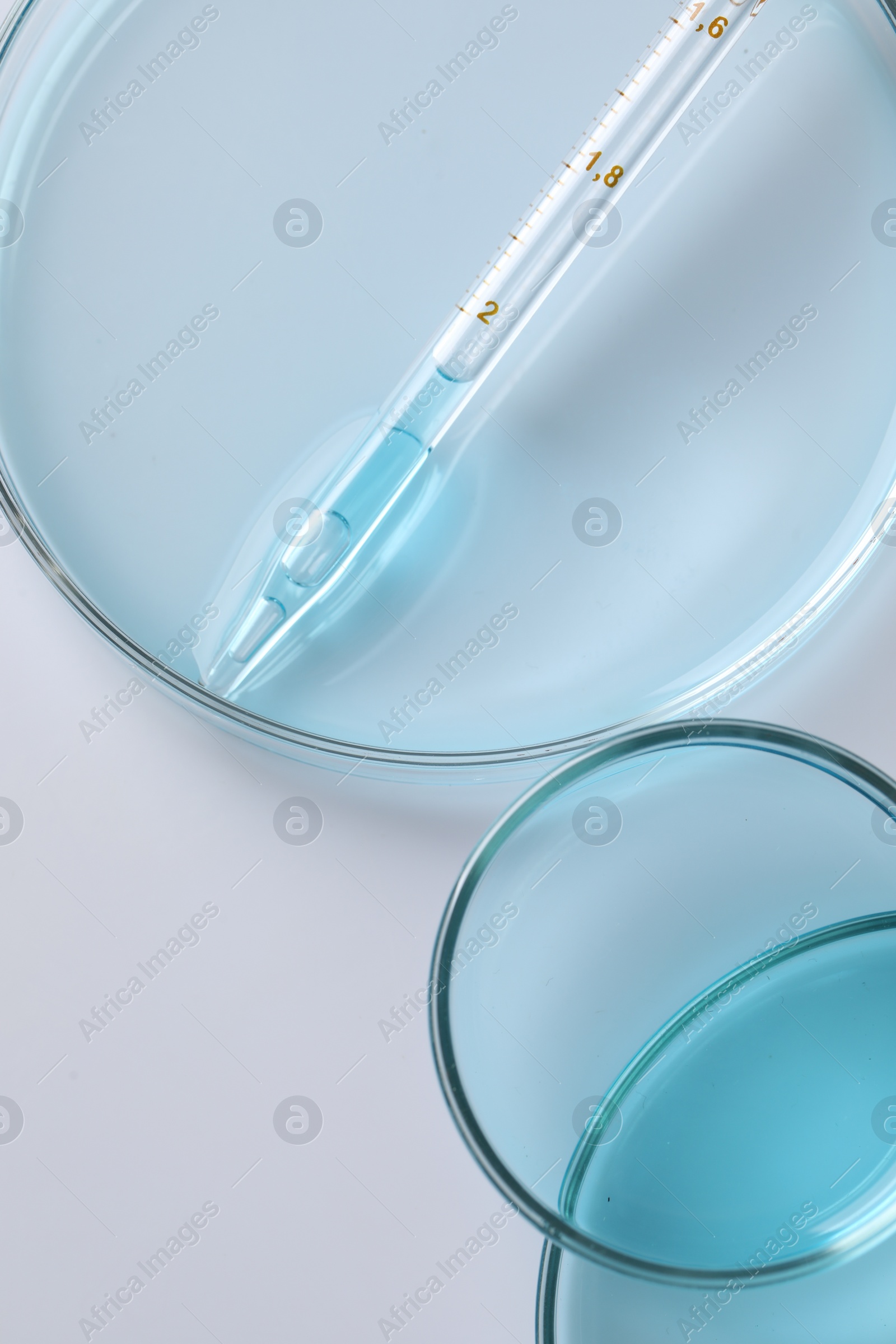 Photo of Measuring pipette and petri dishes on white table, flat lay