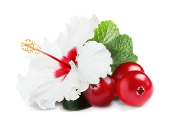 Image of Beautiful hibiscus flower, fresh cranberries and mint on white background