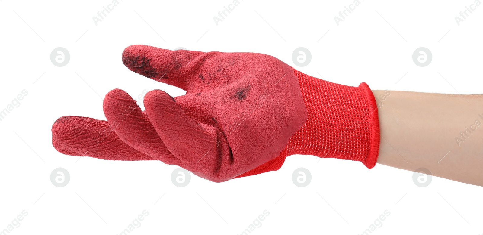 Photo of Woman in gardening glove on white background, closeup