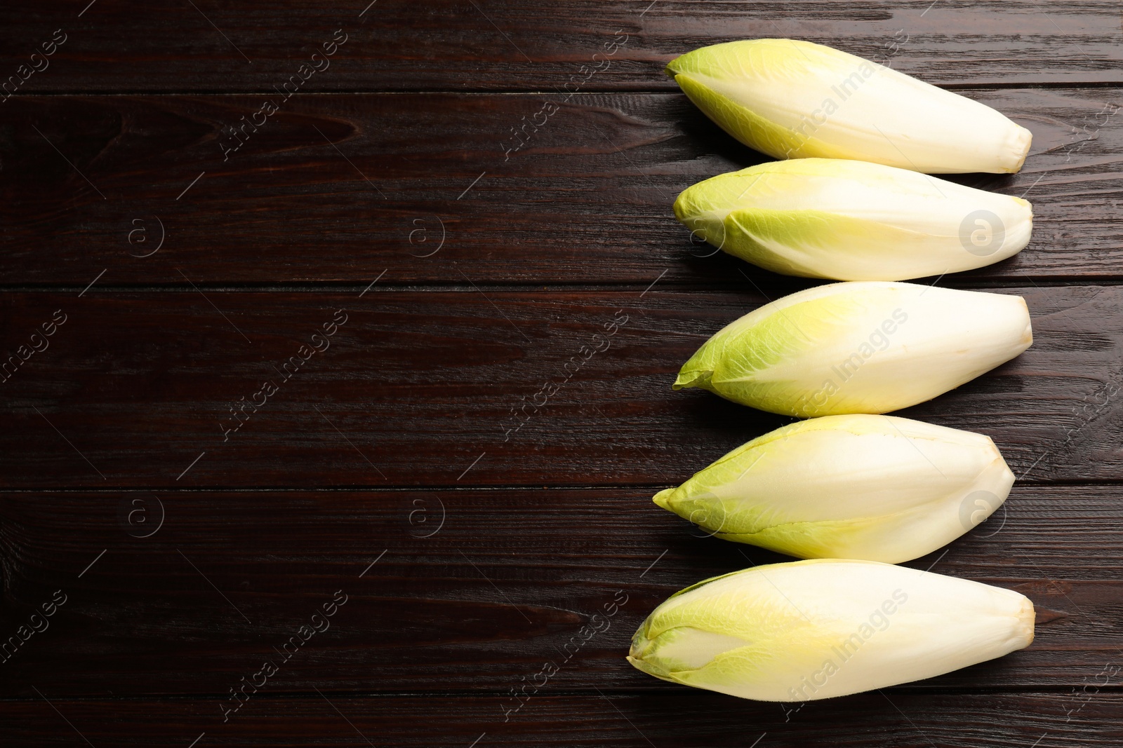 Photo of Raw ripe chicories on wooden table, top view. Space for text