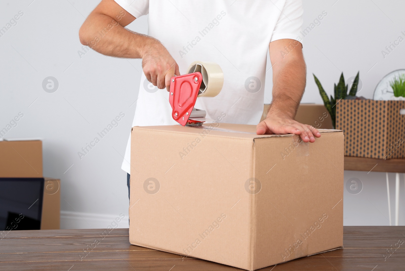 Photo of Young worker packing cardboard box in room, closeup. Moving service