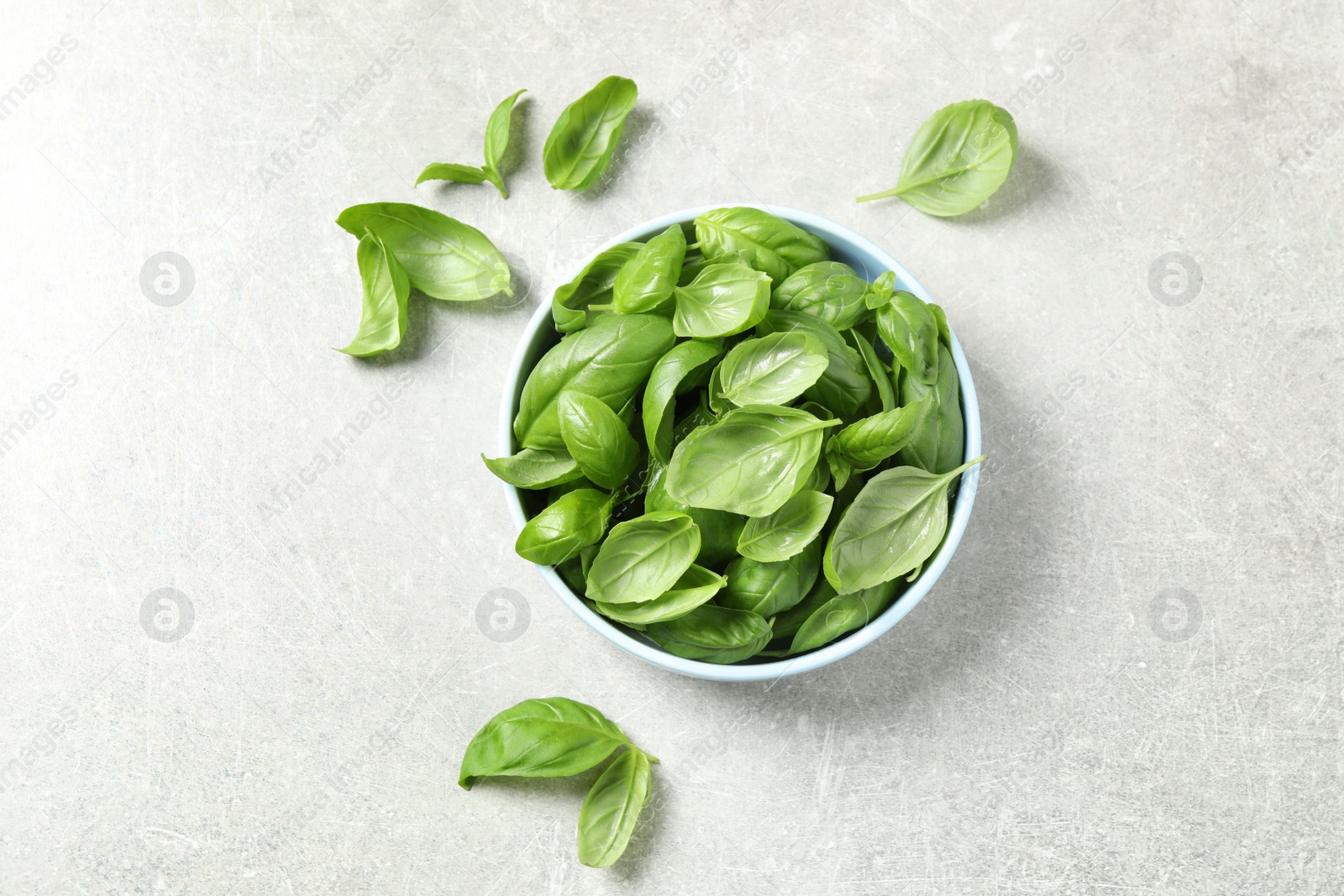 Photo of Fresh green basil on light grey table, flat lay