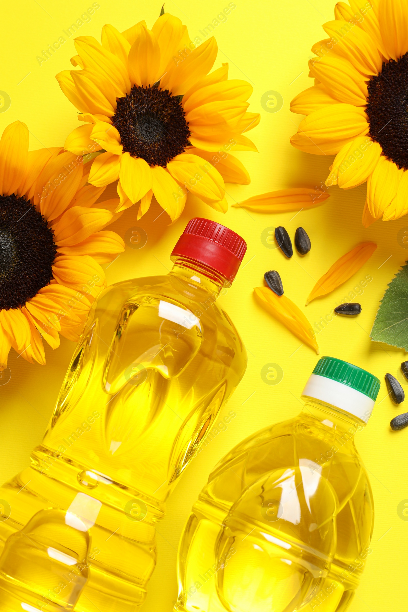 Photo of Bottles of cooking oil, sunflowers and seeds on yellow background, flat lay