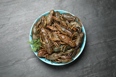 Photo of Fresh raw crayfishes with dill on black table, top view