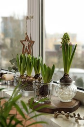 Spring is coming. Beautiful bulbous plants on windowsill indoors