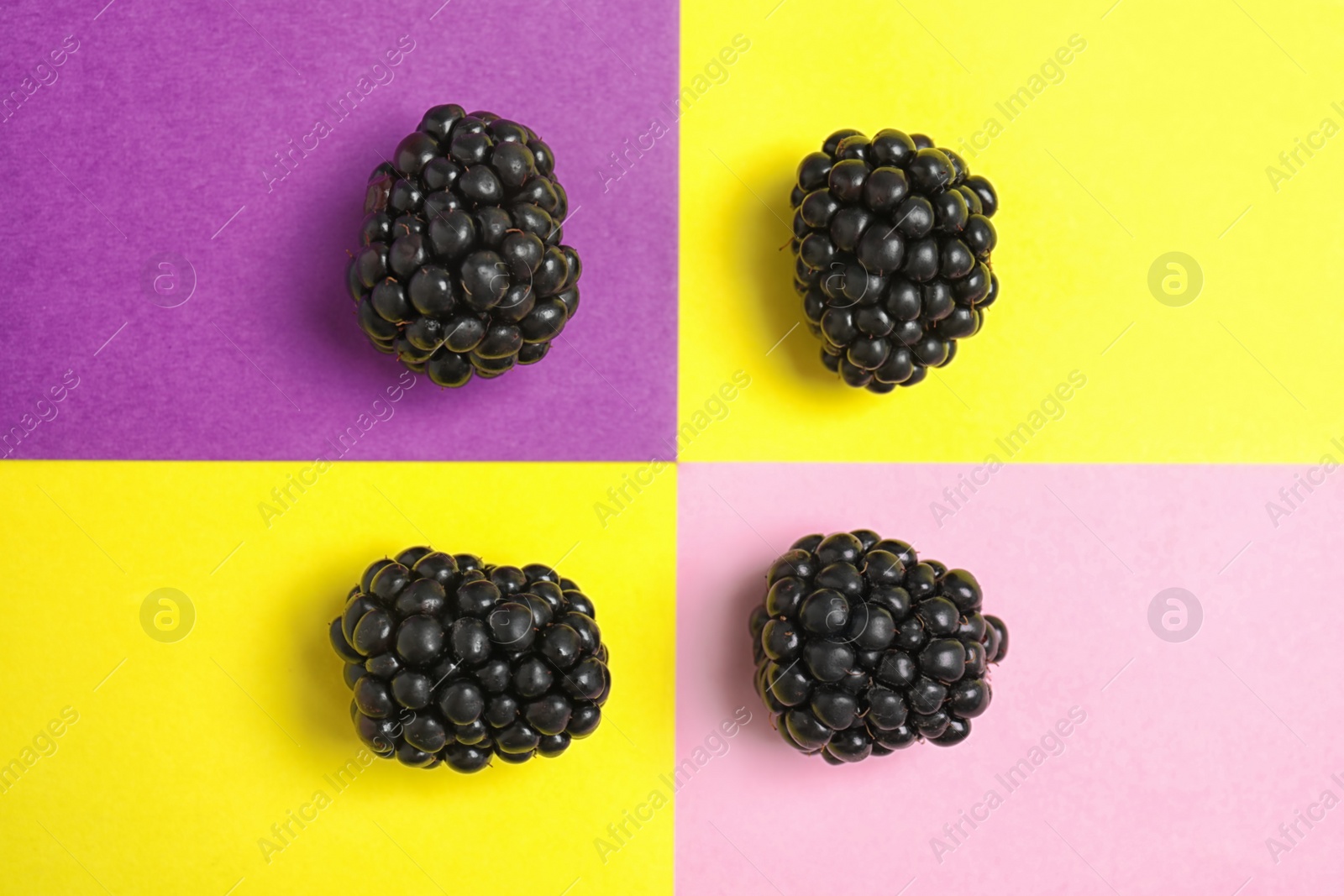 Photo of Flat lay composition with ripe blackberries on color background