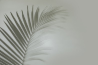 Shadow of tropical palm leaf on grey background, space for text