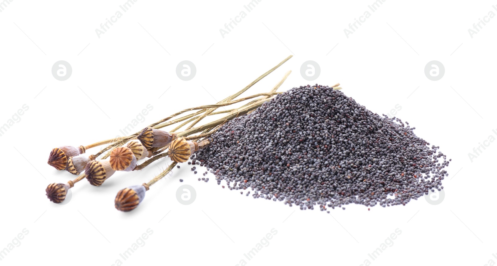 Photo of Dry poppyheads and pile of seeds on white background