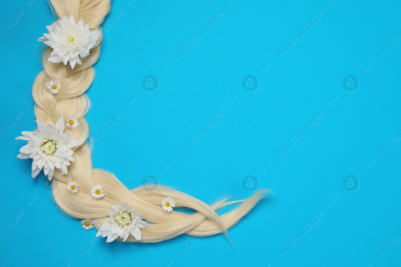 Photo of Lock of healthy blond hair with flowers on light blue background, top view. Space for text