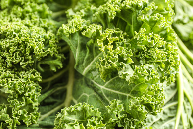 Fresh green kale leaves as background, closeup