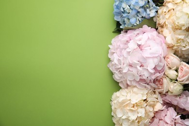 Photo of Beautiful hydrangea flowers on green background, top view. Space for text