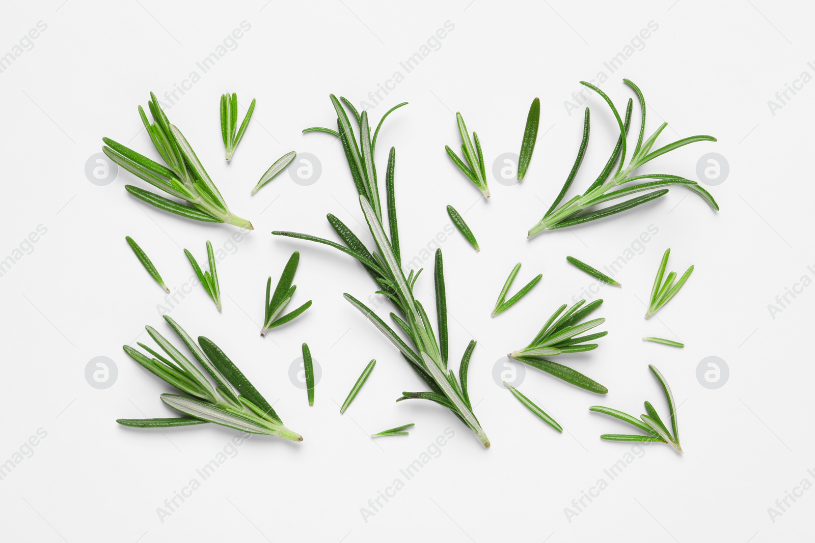 Photo of Sprigs of fresh rosemary on white background, flat lay