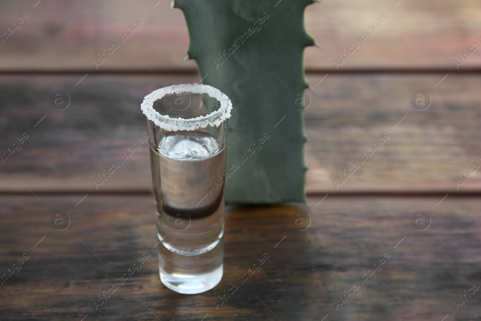 Photo of Mexican tequila shot with salt and green leaf on wooden table, closeup with space for text. Drink made of agava