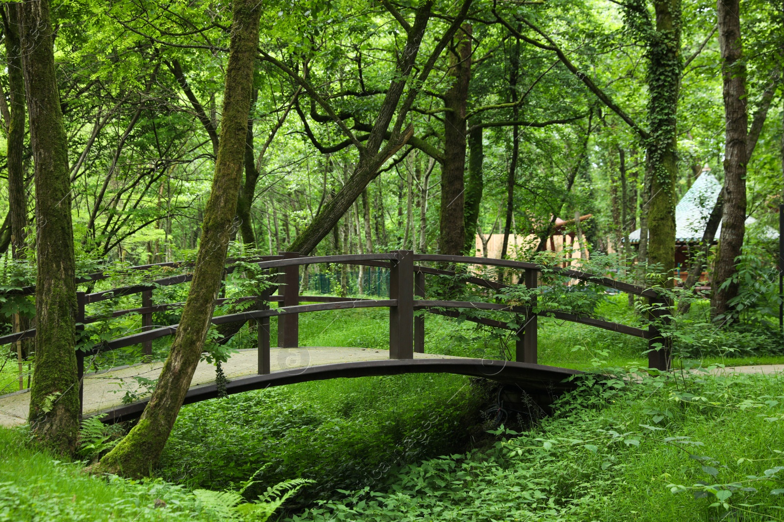 Photo of Picturesque view of tranquil park with green plants and bridge
