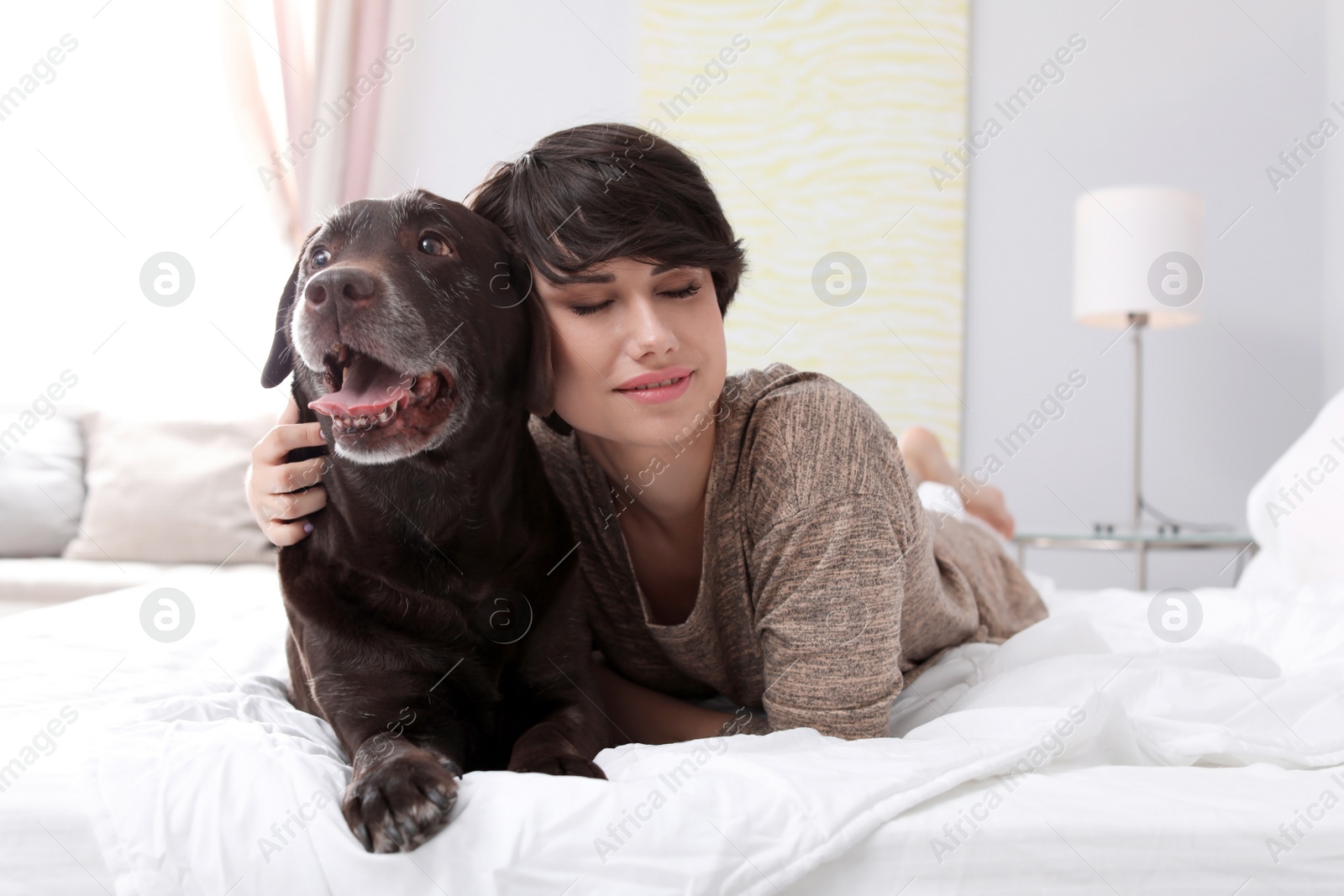 Photo of Adorable brown labrador retriever with owner on bed indoors