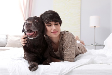 Adorable brown labrador retriever with owner on bed indoors