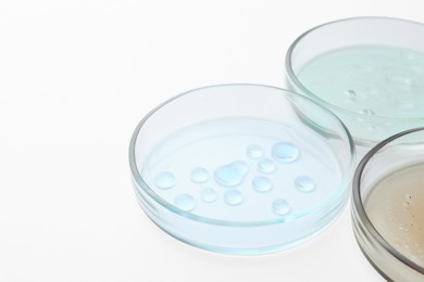 Petri dishes with color liquids on white background, closeup