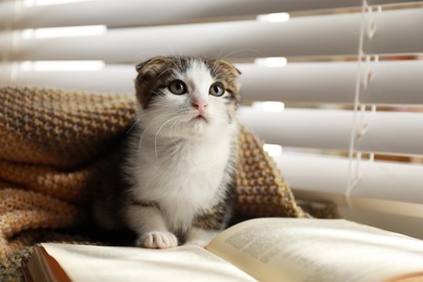 Photo of Adorable little kitten and book near window indoors