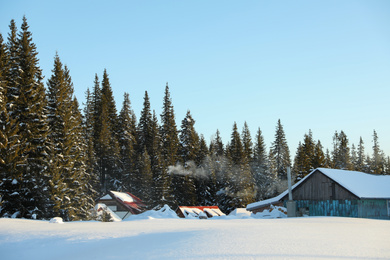 Photo of Wooden houses near snowy coniferous forest on winter day