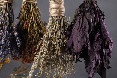 Many different herbs and flowers hanging on grey background, closeup