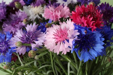 Beautiful colorful cornflowers as background, closeup view