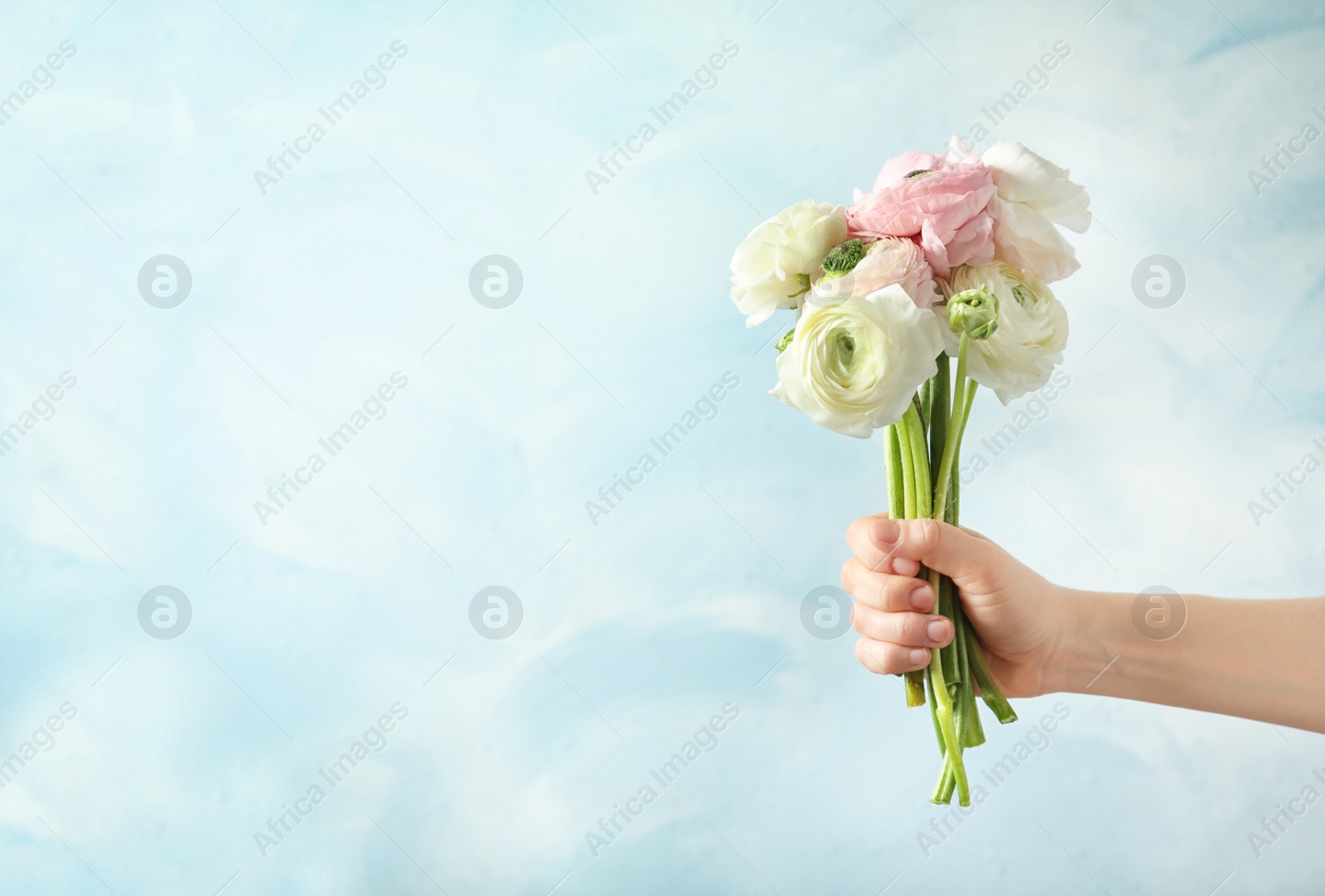 Photo of Young woman holding ranunculus flowers on color background