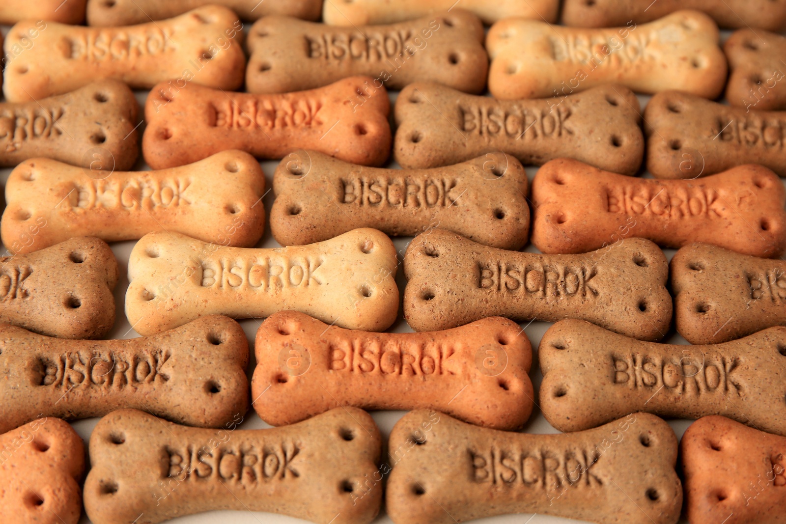 Photo of Bone shaped dog cookies on beige background