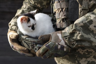 Photo of Ukrainian soldier rescuing animal. Little stray cat sitting in helmet, closeup