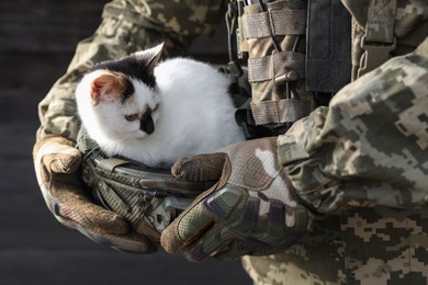 Ukrainian soldier rescuing animal. Little stray cat sitting in helmet, closeup