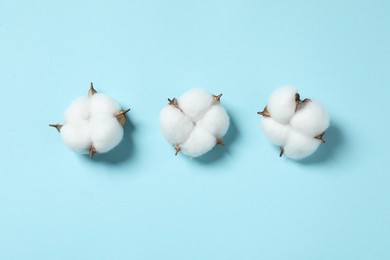 Photo of Fluffy cotton flowers on light blue background, flat lay