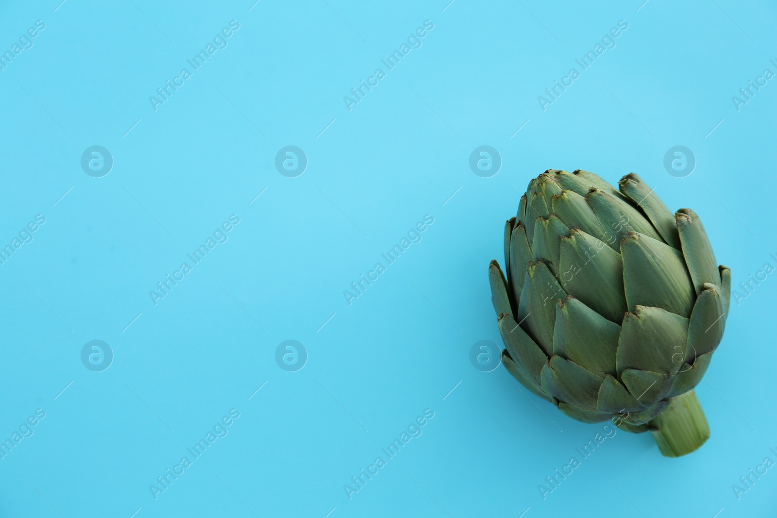 Photo of Whole fresh raw artichoke on light blue background, top view. Space for text