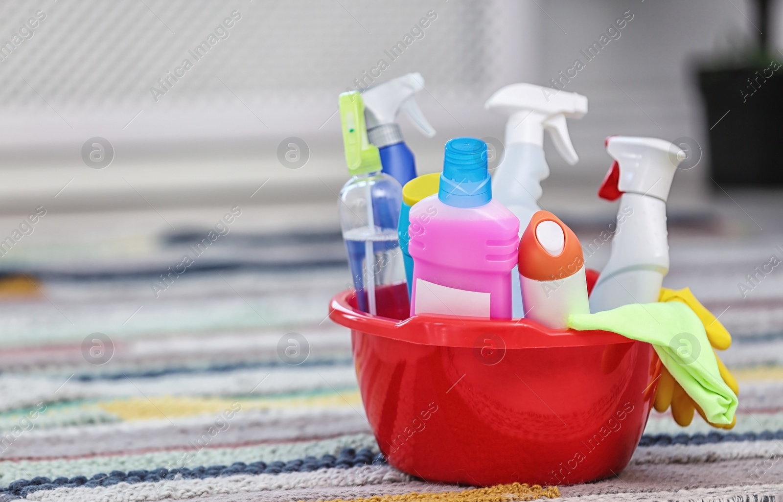 Photo of Basin with set of cleaning supplies indoors