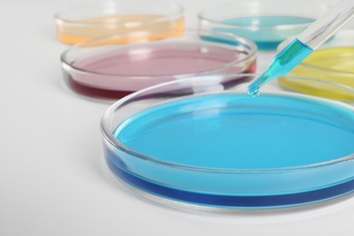 Photo of Dripping light blue liquid into Petri dish on white background, closeup