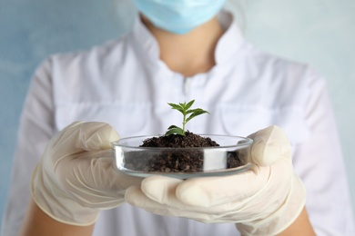 Photo of Scientist holding Petri dish with soil and sprouted plant, closeup. Biological chemistry