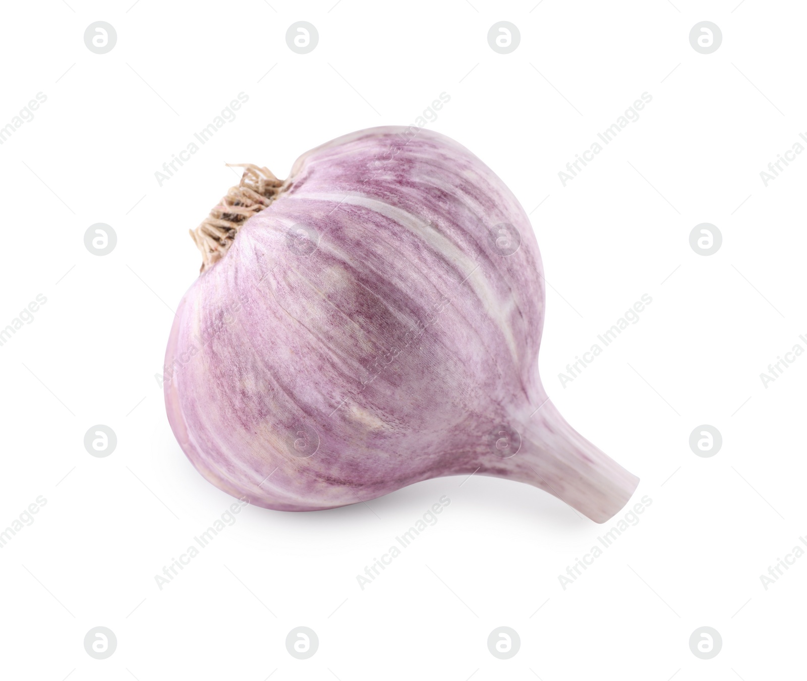 Photo of Fresh raw garlic head isolated on white