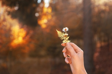 Photo of Woman holding wild flowers in hand on blurred sunny background