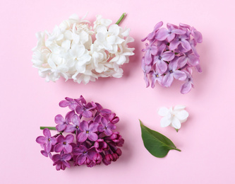 Photo of Flat lay composition with different lilac blossoms on pink background