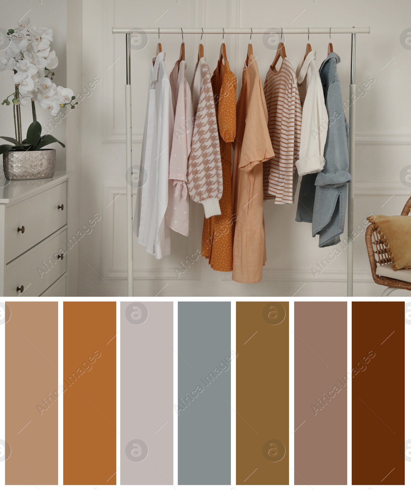 Image of Color palette appropriate to photo of stylish women's clothes on rack in room