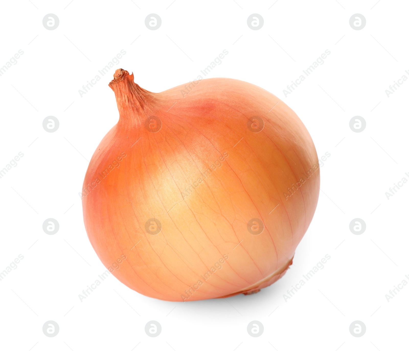 Photo of One fresh unpeeled onion isolated on white