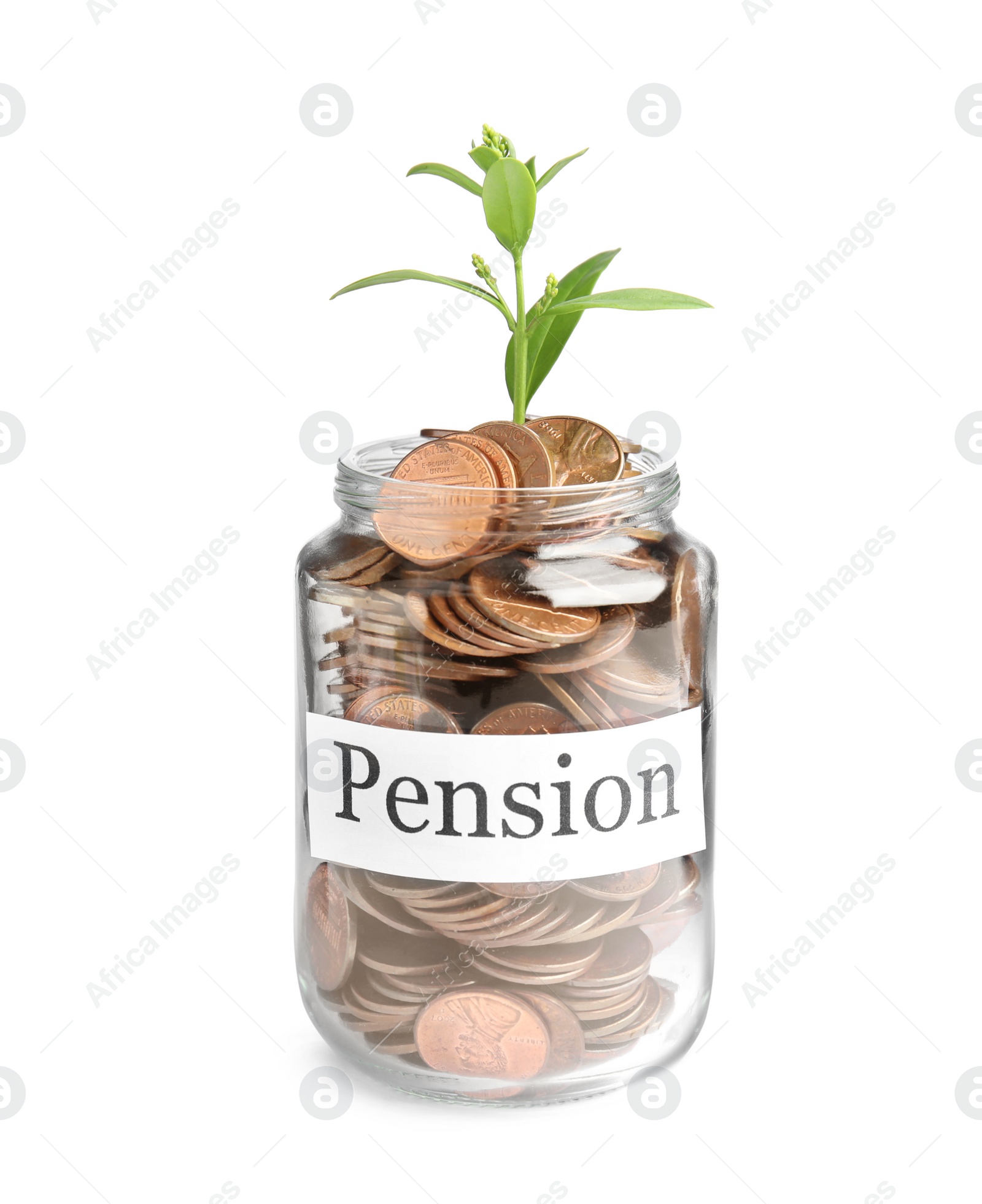 Photo of Glass jar with label PENSION, coins and green plant isolated on white