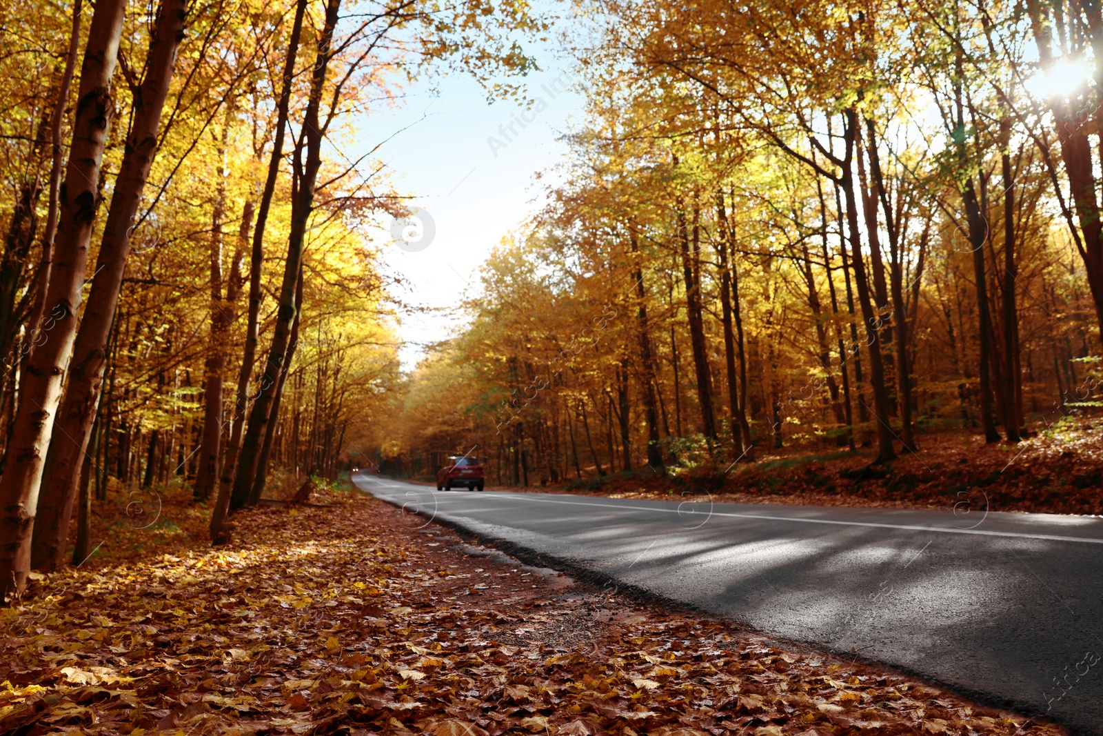 Photo of Modern car on asphalt road near autumn forest