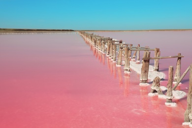 Photo of Beautiful view of pink lake on summer day