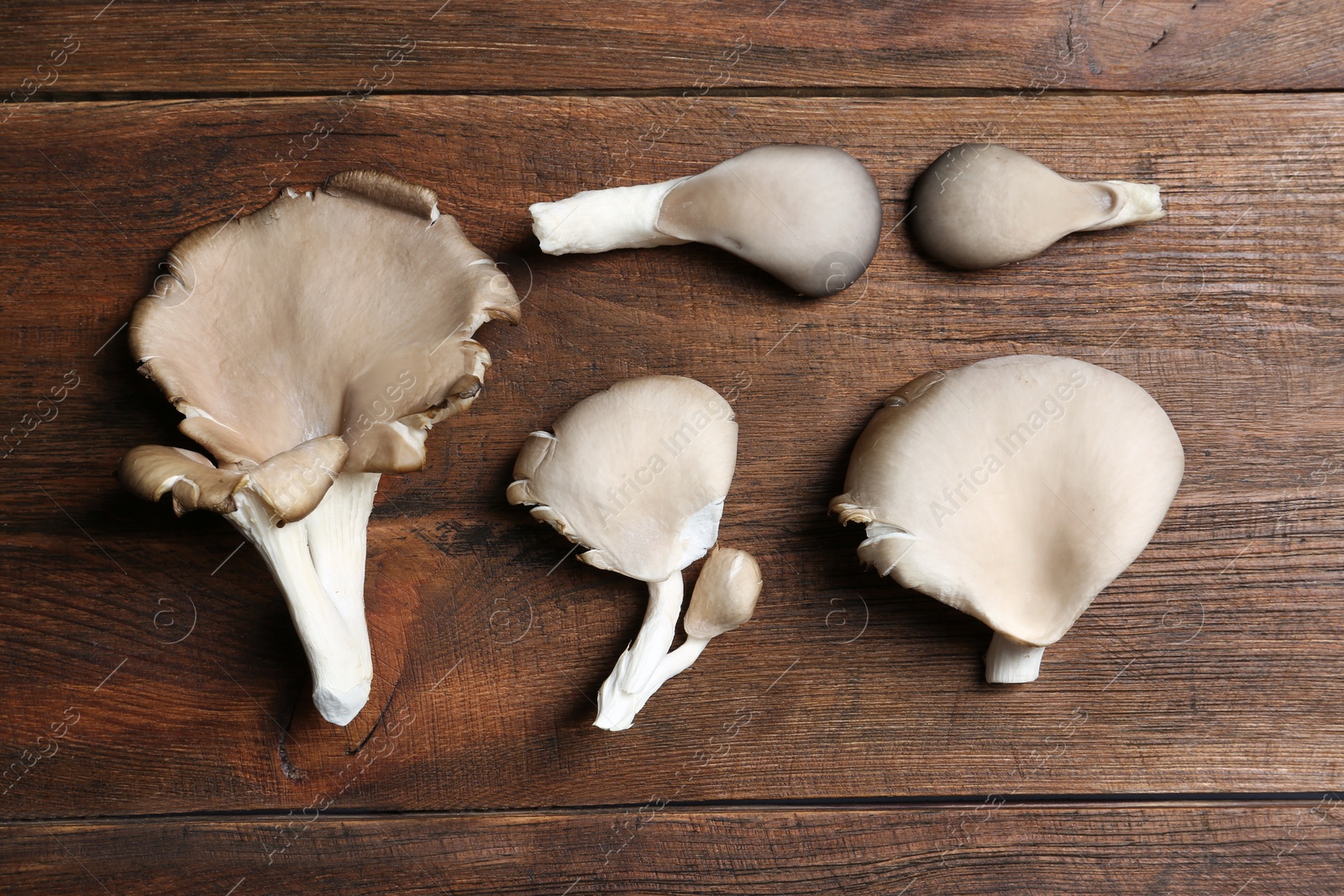 Photo of Delicious organic oyster mushrooms on wooden background, flat lay