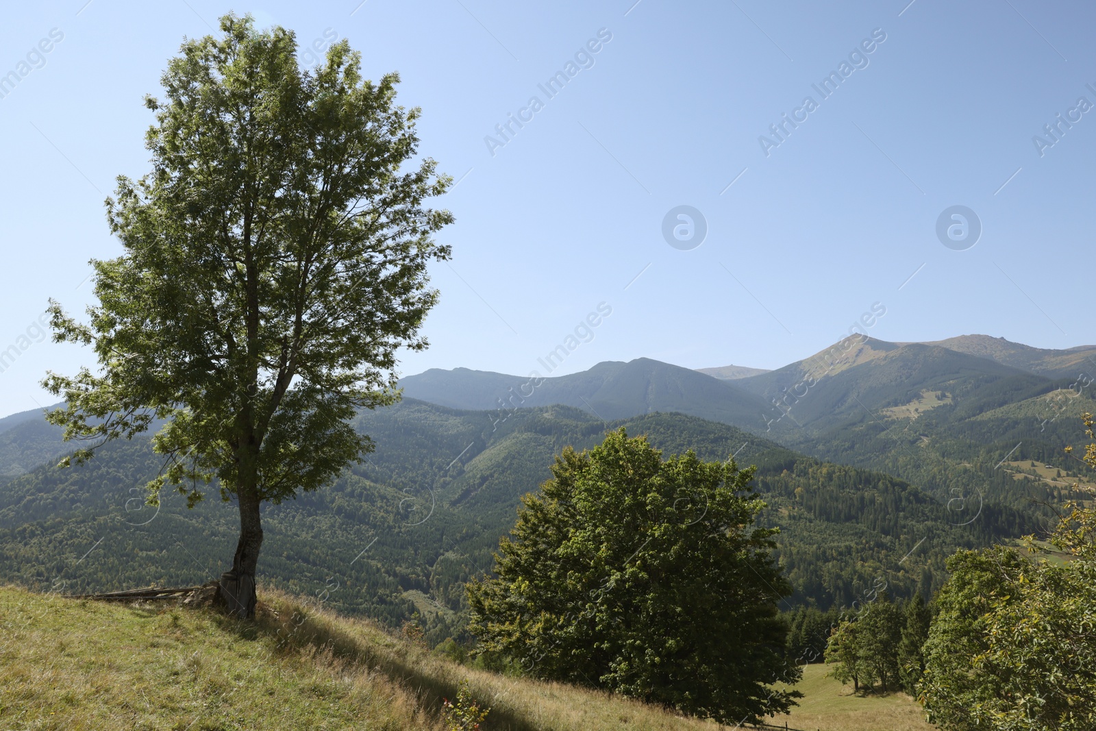 Photo of Beautiful view of landscape with mountain hills