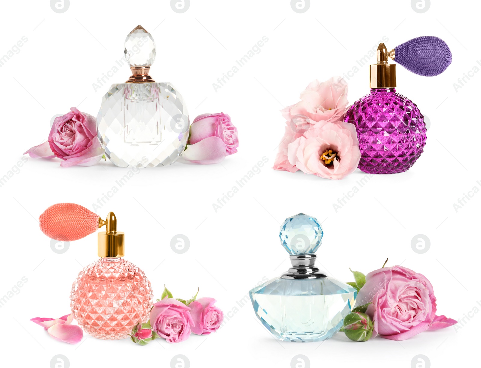 Image of Set with different bottles of perfume and flowers on white background